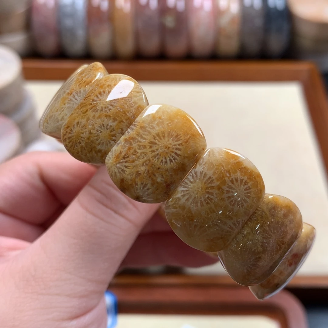 未镶嵌手排300/个。11硅化珊瑚（珊瑚玉）