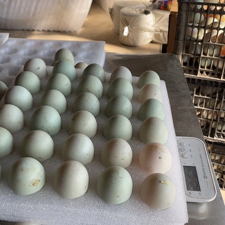 ****使包装中国大陆30g鸭蛋