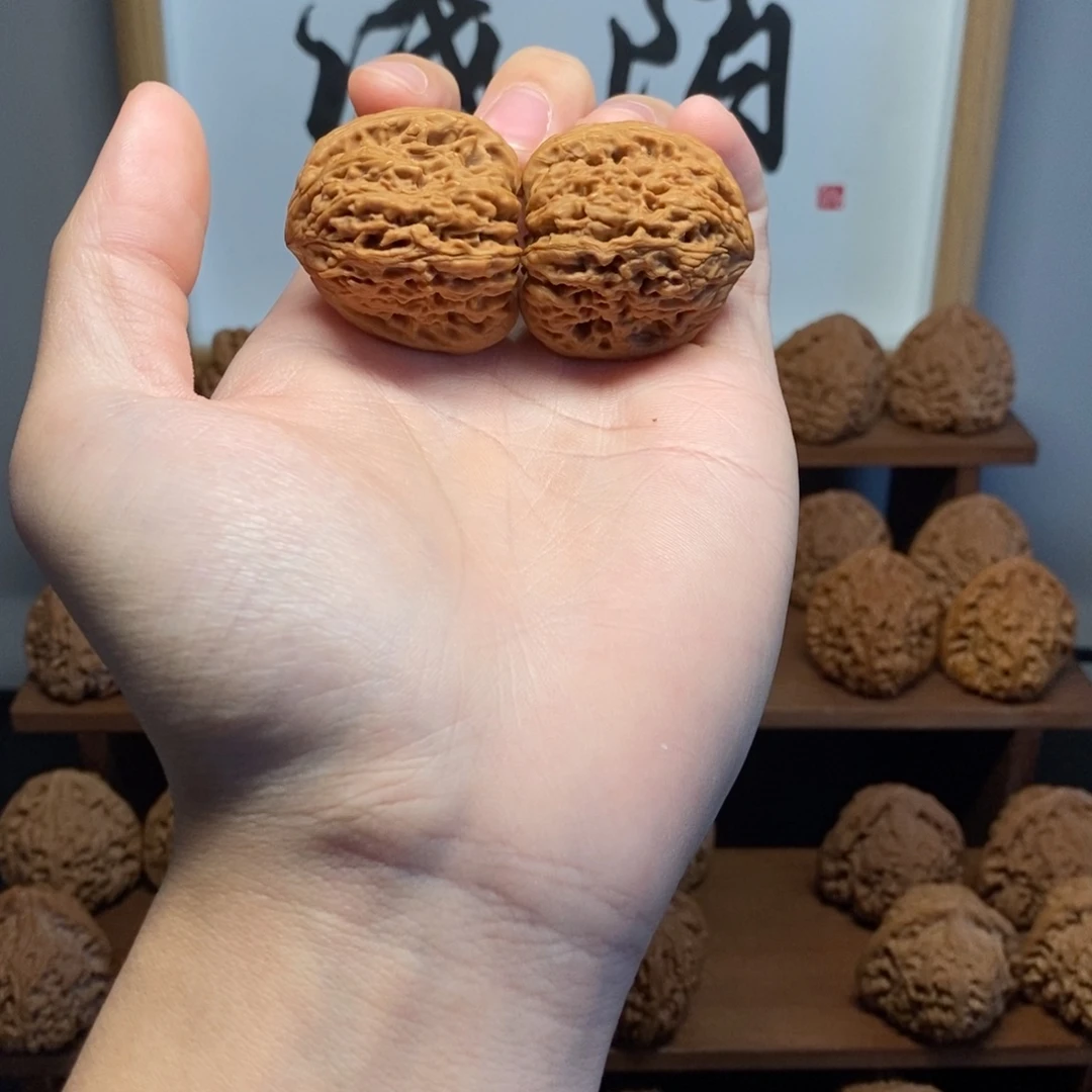核桃南疆石35尺对歪鹰嘴