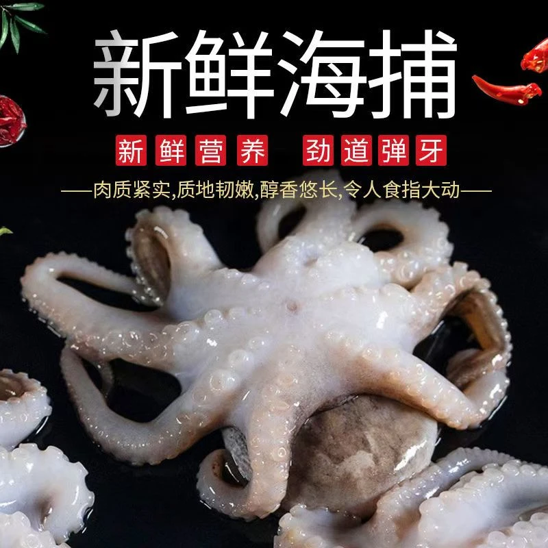 青岛发货鲜活速冻短腿八爪鱼口感脆嫩美味海鲜