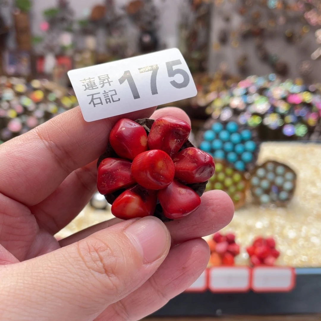 核桃木/黑胡桃（胡桃木）?*175