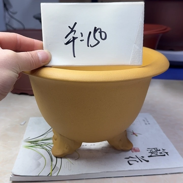 春秋花盆精品兰盆