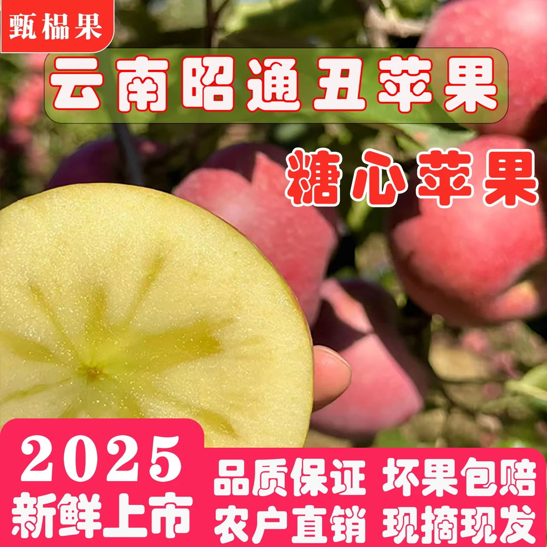 2025当季新鲜上市云南昭通丑苹果红富士糖心苹果农户直销现摘现发