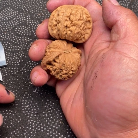 文玩核桃把件白狮子头20