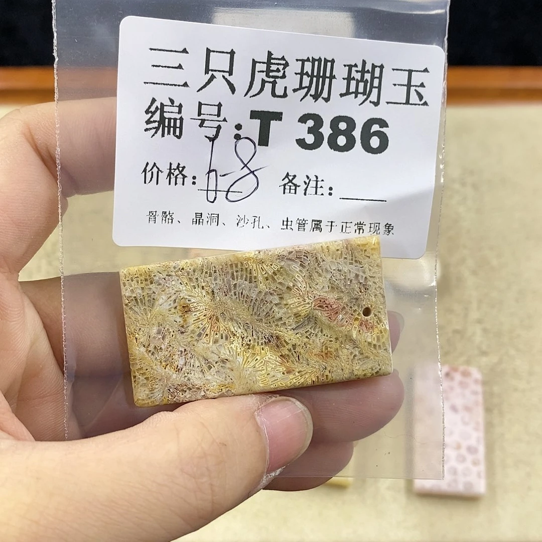 硅化珊瑚（珊瑚玉）1未镶嵌飘