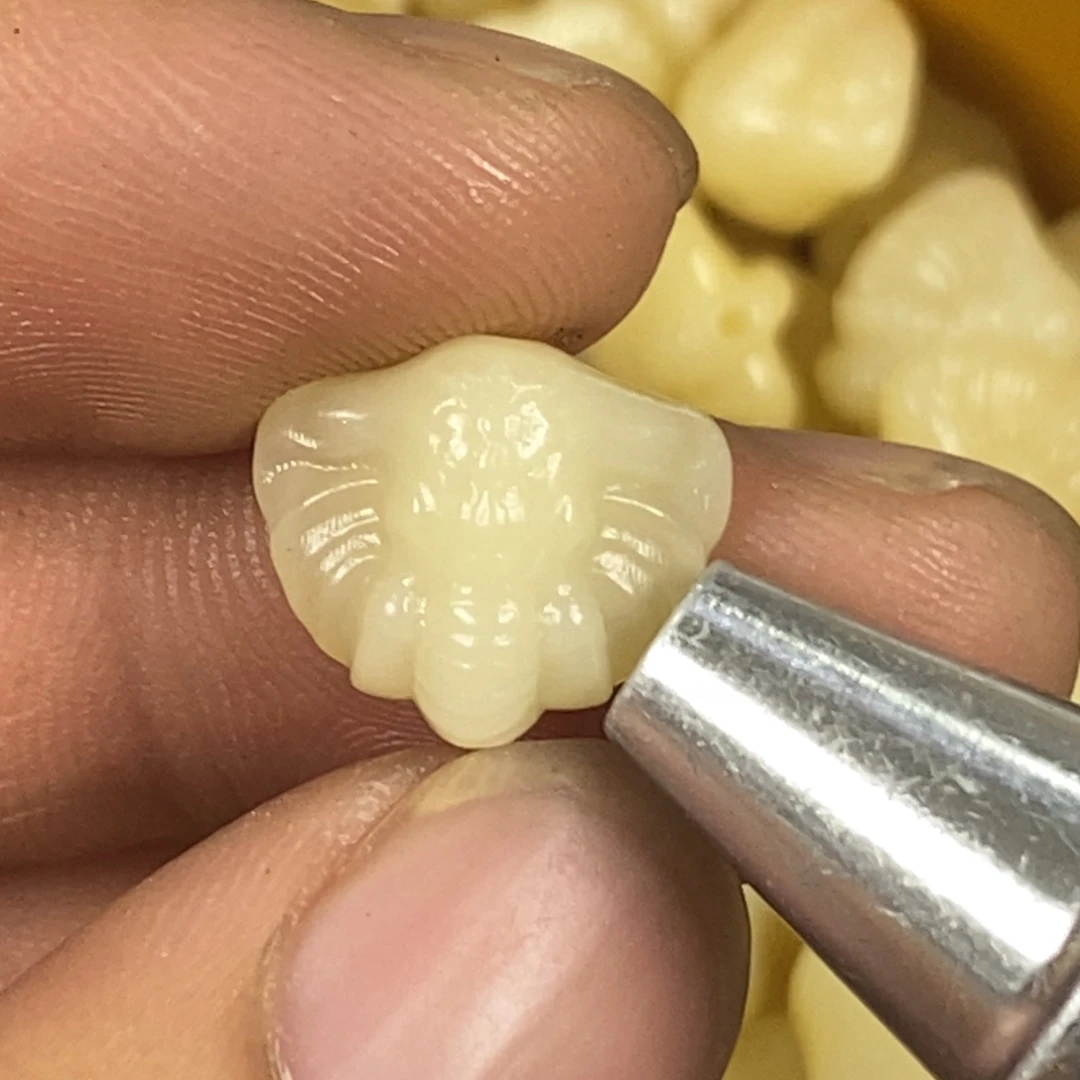 驼骨其他1.4尺寸,33
