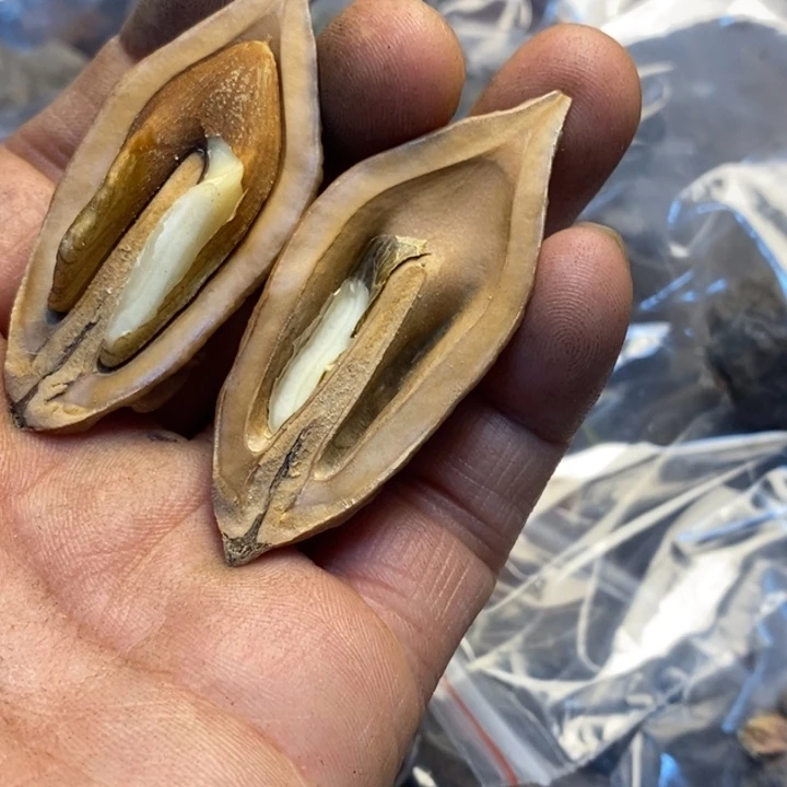 吊坠桃核哪里的双68