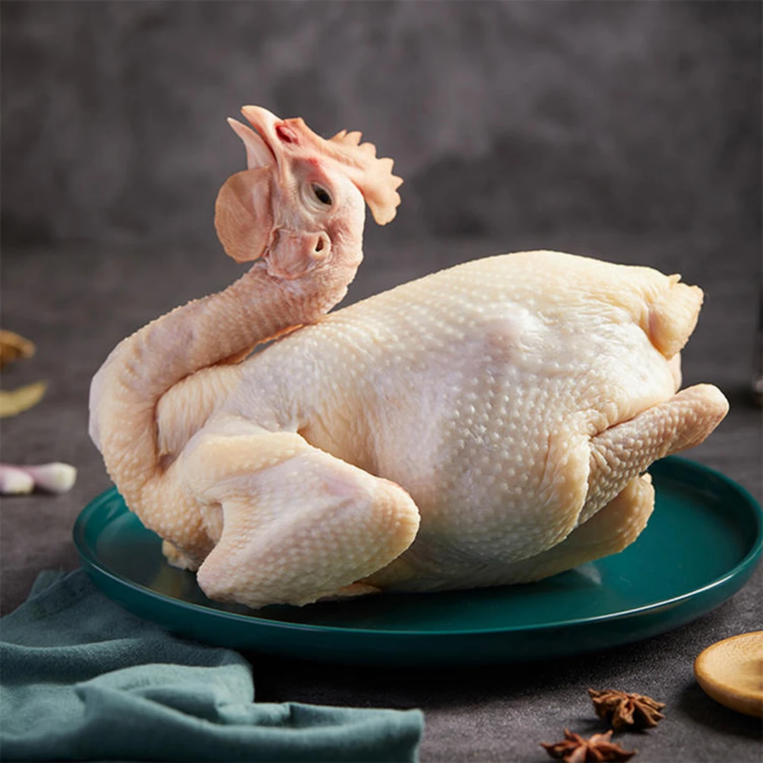 生鲜鸡 2.5斤 180天 清远麻鸡（清远鸡） 包冰率10%-15%