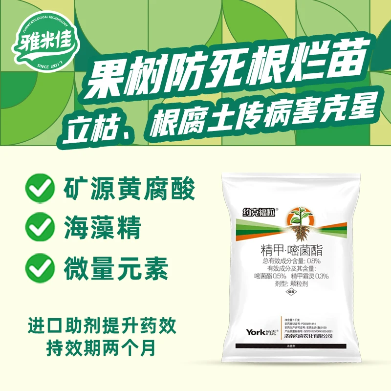 约克福粒精甲霜灵嘧菌酯根腐病立枯病土传病害克星