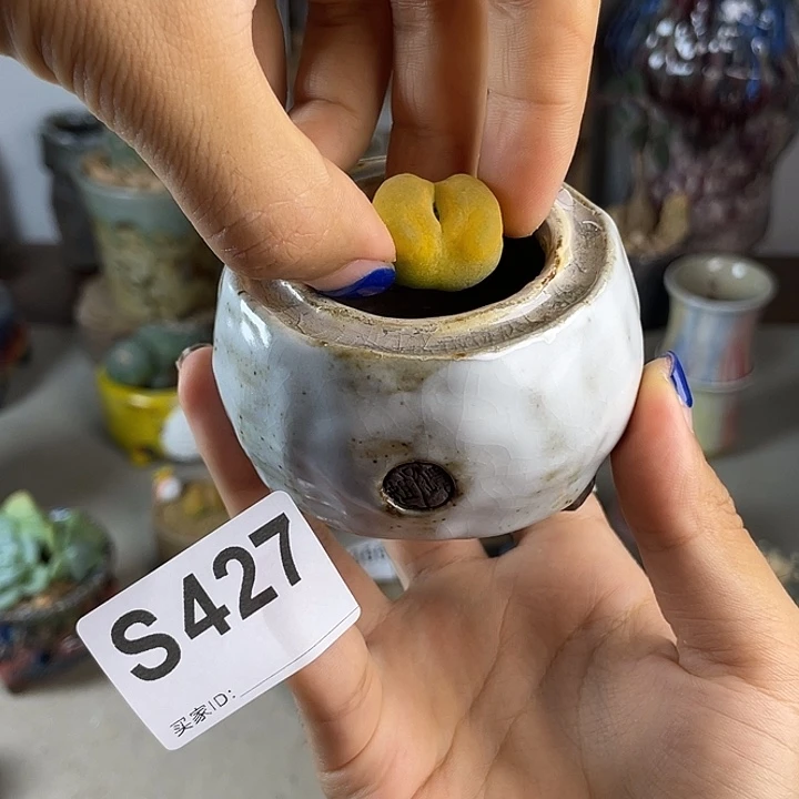 灯泡 不含肉 内口4百搭