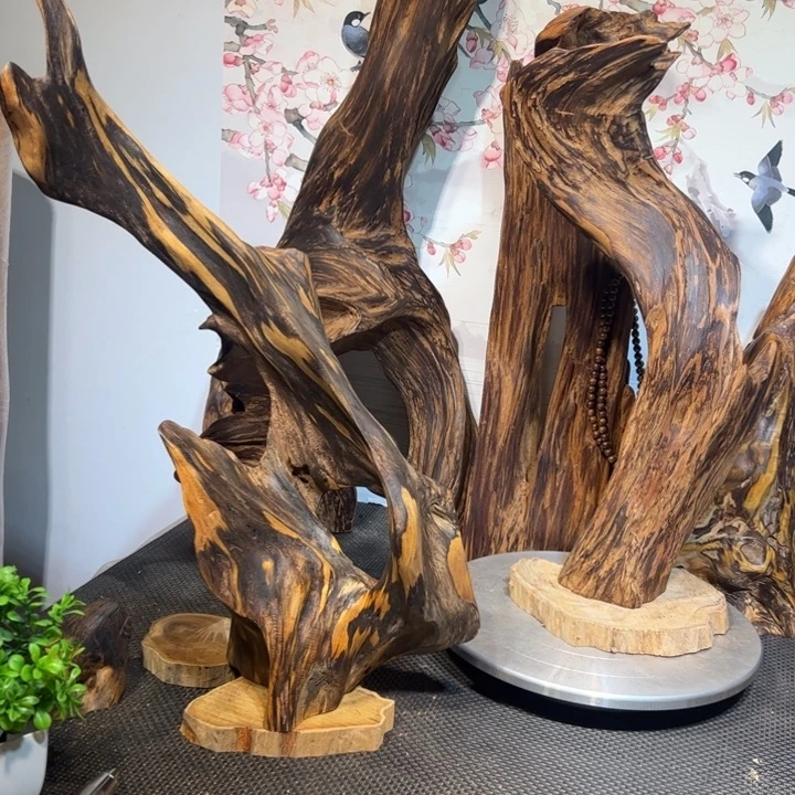 一***然木直播间一组自拍