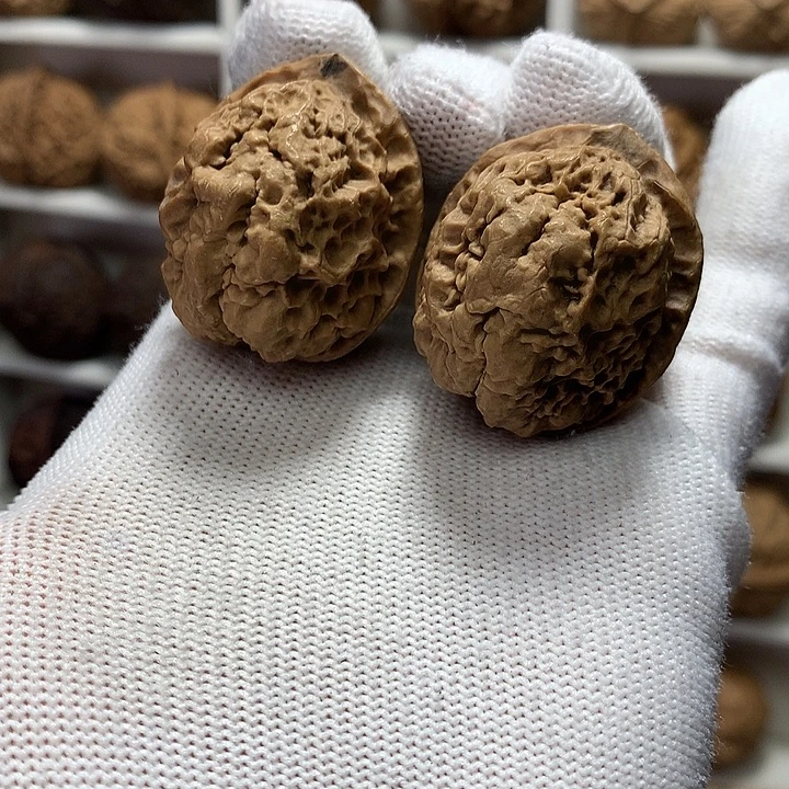 核桃38尺爆米花4号