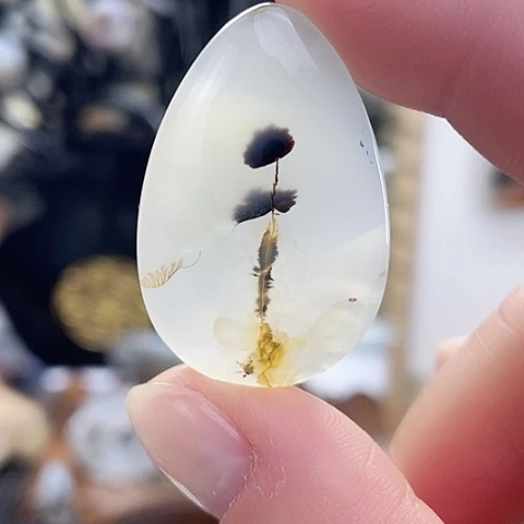 玛瑙/玉髓珠宝奇石未镶嵌