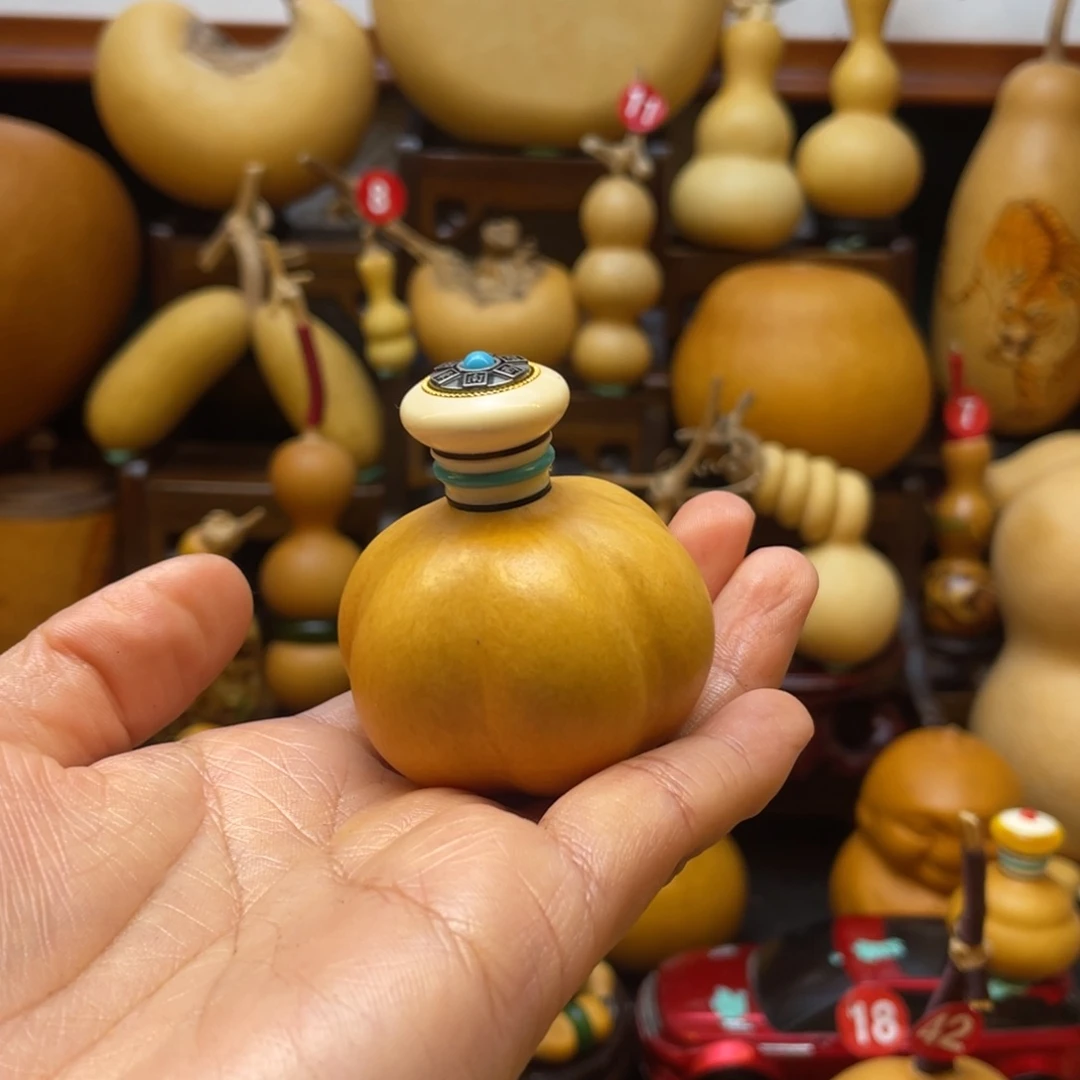 ^****^葫芦等多种颜色的小动物在这里尽情