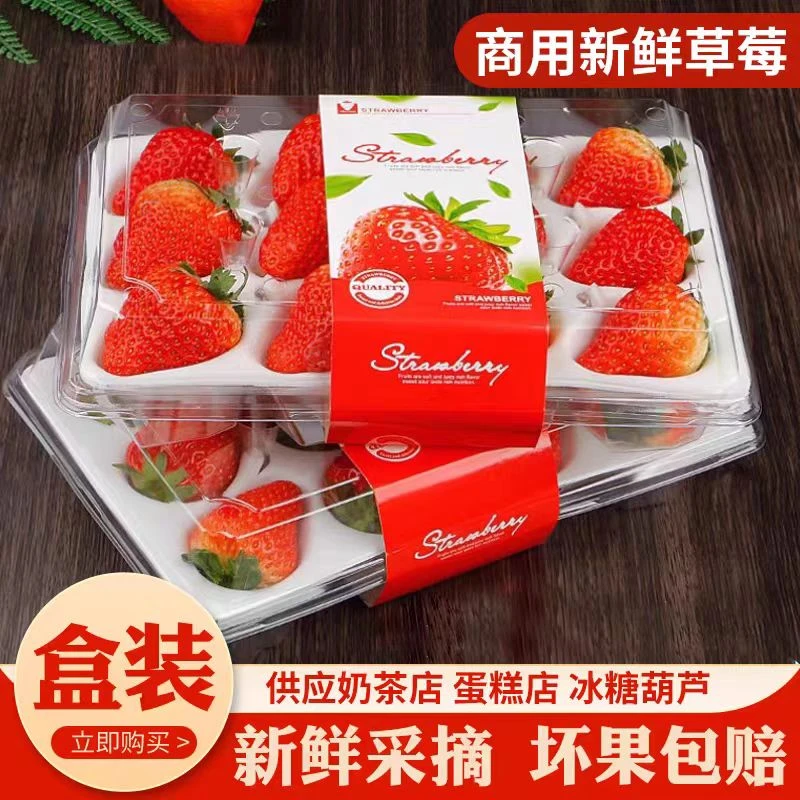 云南夏季草莓新鲜商用冰糖葫芦茶饮蛋糕烘焙包邮礼盒酸草莓
