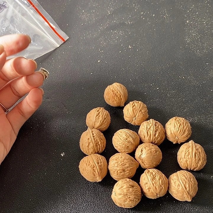 核桃手串/手链核桃
