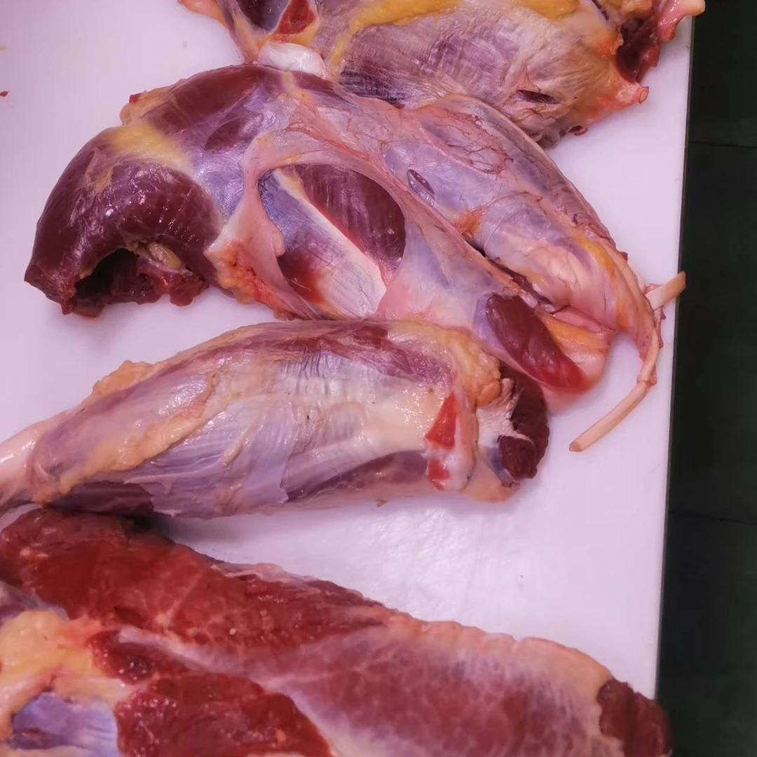 新鲜现宰金膘小黄牛顺丰冷链包邮腱子肉