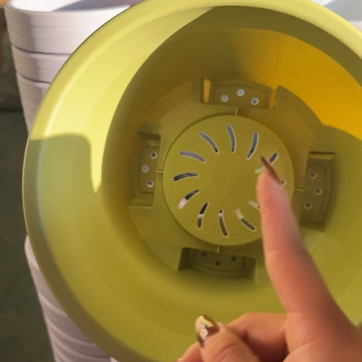 球根盆4号果绿无托5个