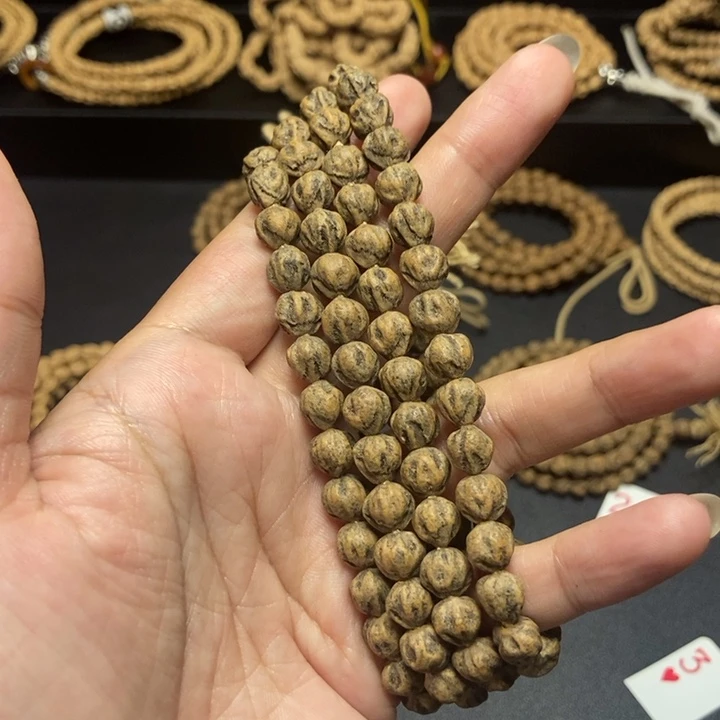 w***y其他柏木脏莲花原桩