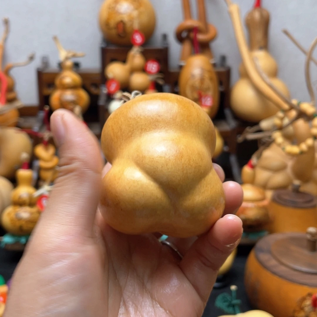 ?*壹大自然的秘密第十一节的