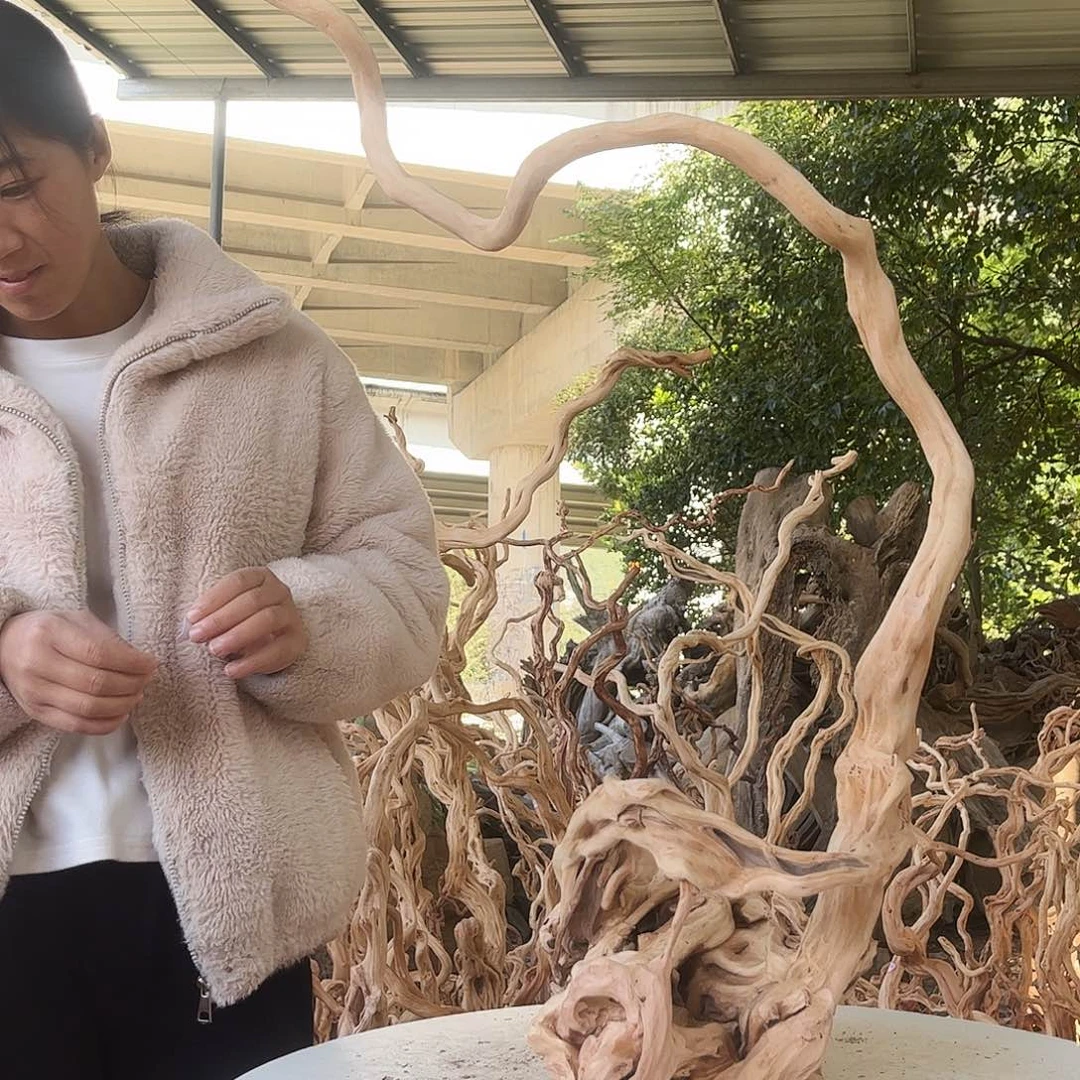 青****木138款叽叽咕咕健健康康