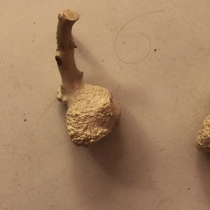 用***0木木料木料木料木料