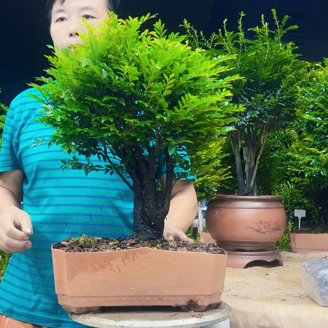 以实际为准用****012345678