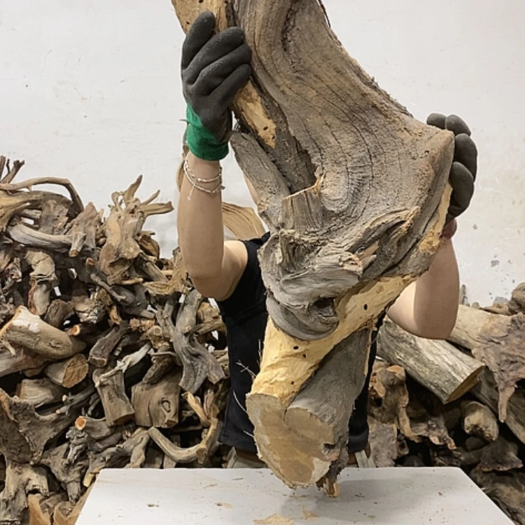 【闪购商品】柏木正****馆我们都是好孩子