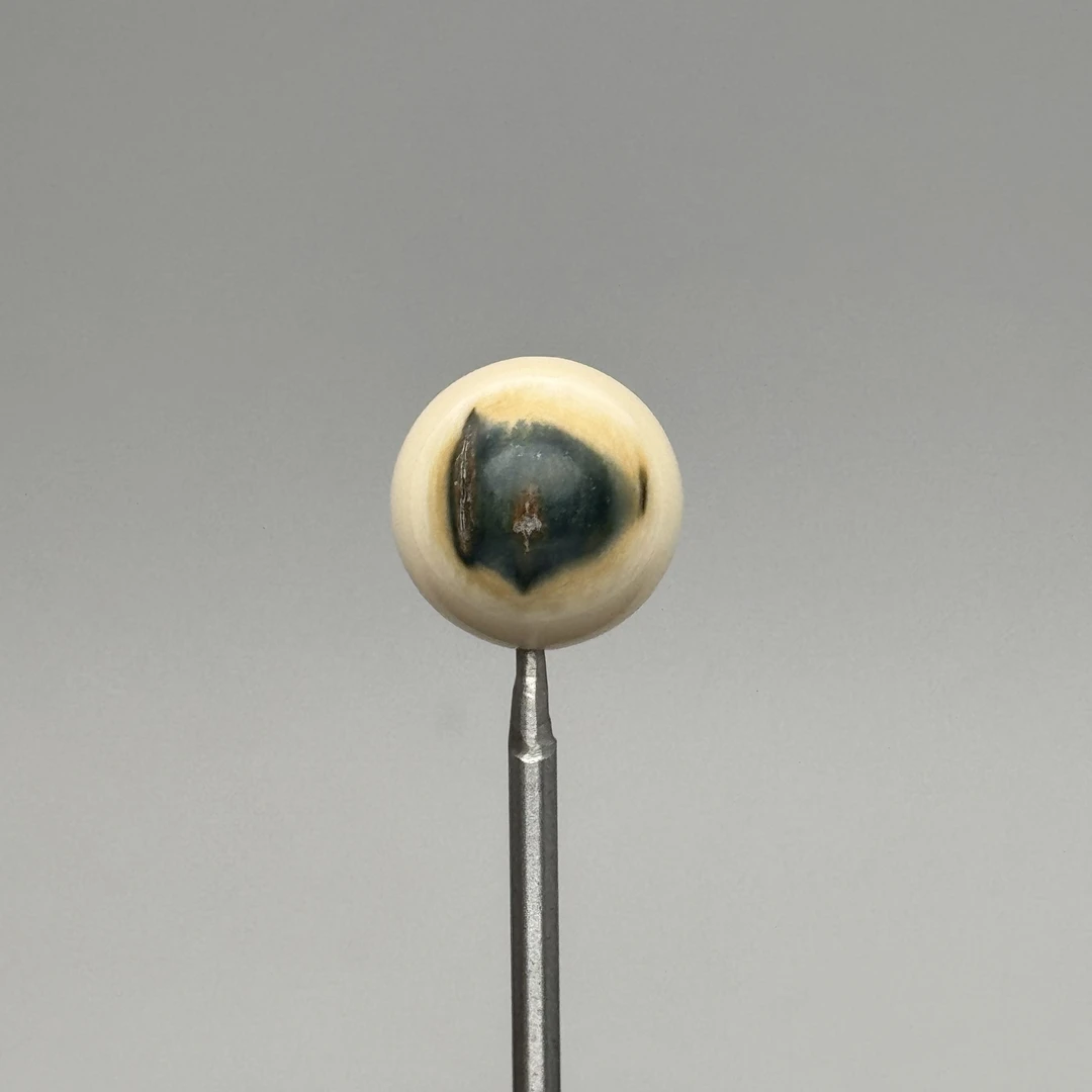 DEZHI/德志14mm蓝眼单珠天然猛犸牙Y513