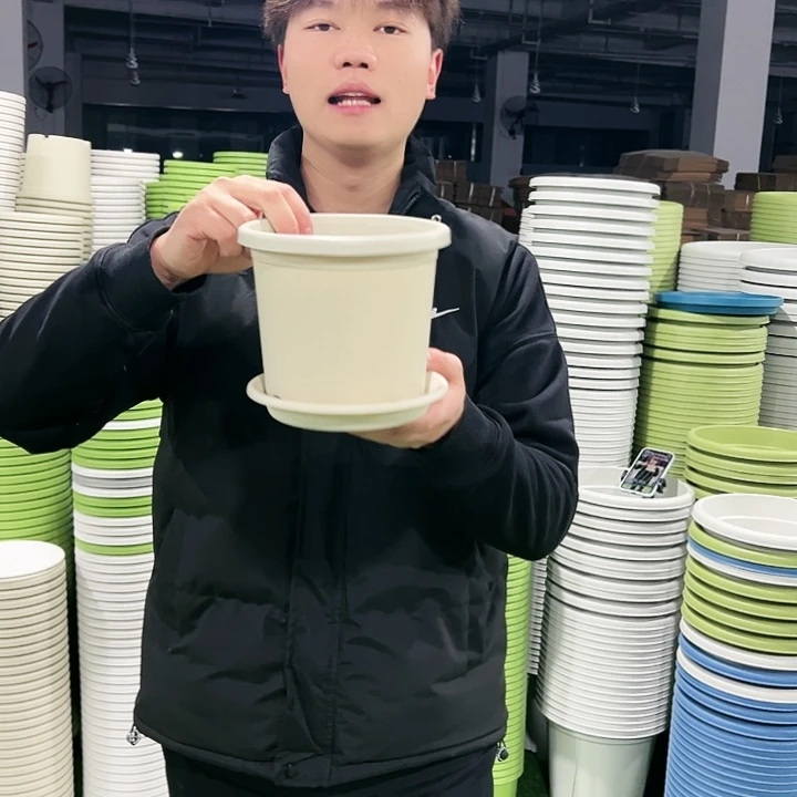 特价2号口17.3高14.7果绿色10只有托