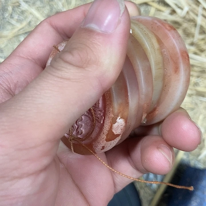 晚上睡觉的时候突然想起了我以前喜欢过