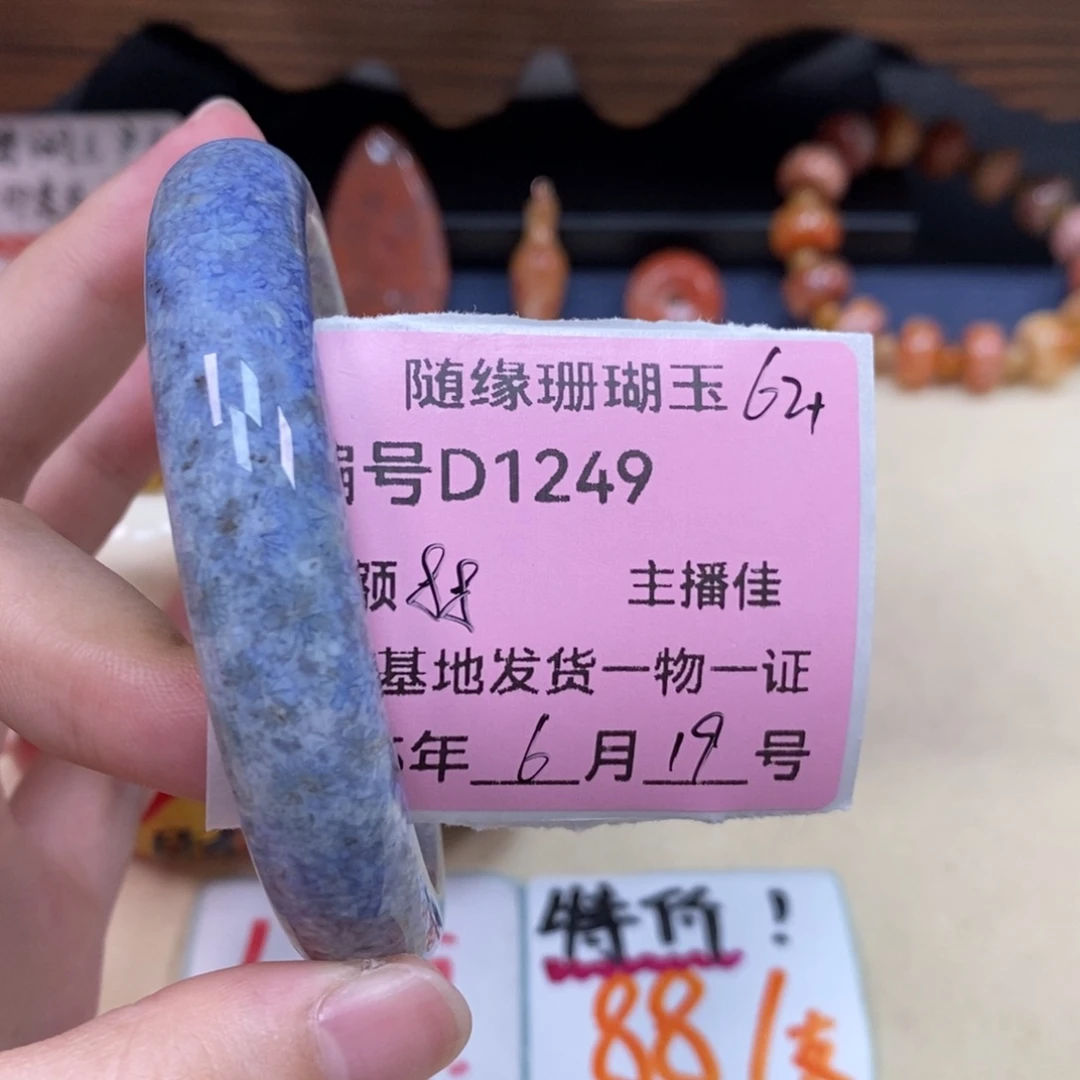 硅化珊瑚（珊瑚玉）D1249未镶嵌ℳ****