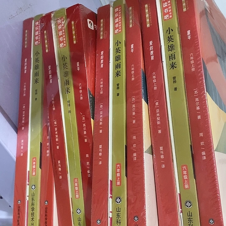 六年级快乐读书吧，三本