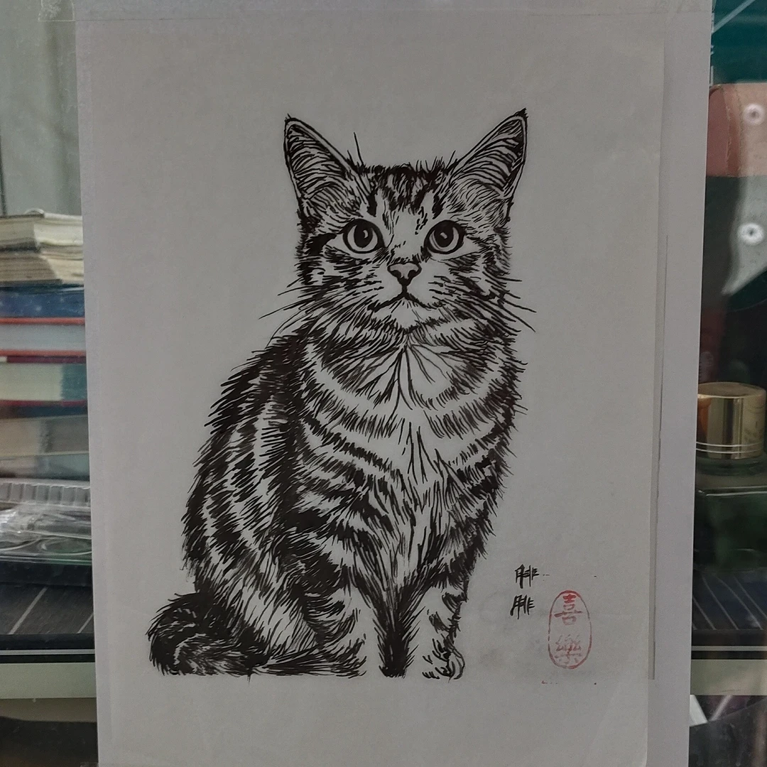 画画猫咪线稿图不限次数