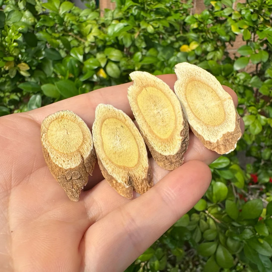 甘肃黄芪小片无硫新货可泡水煲汤食用黄芪片0.5~1.0