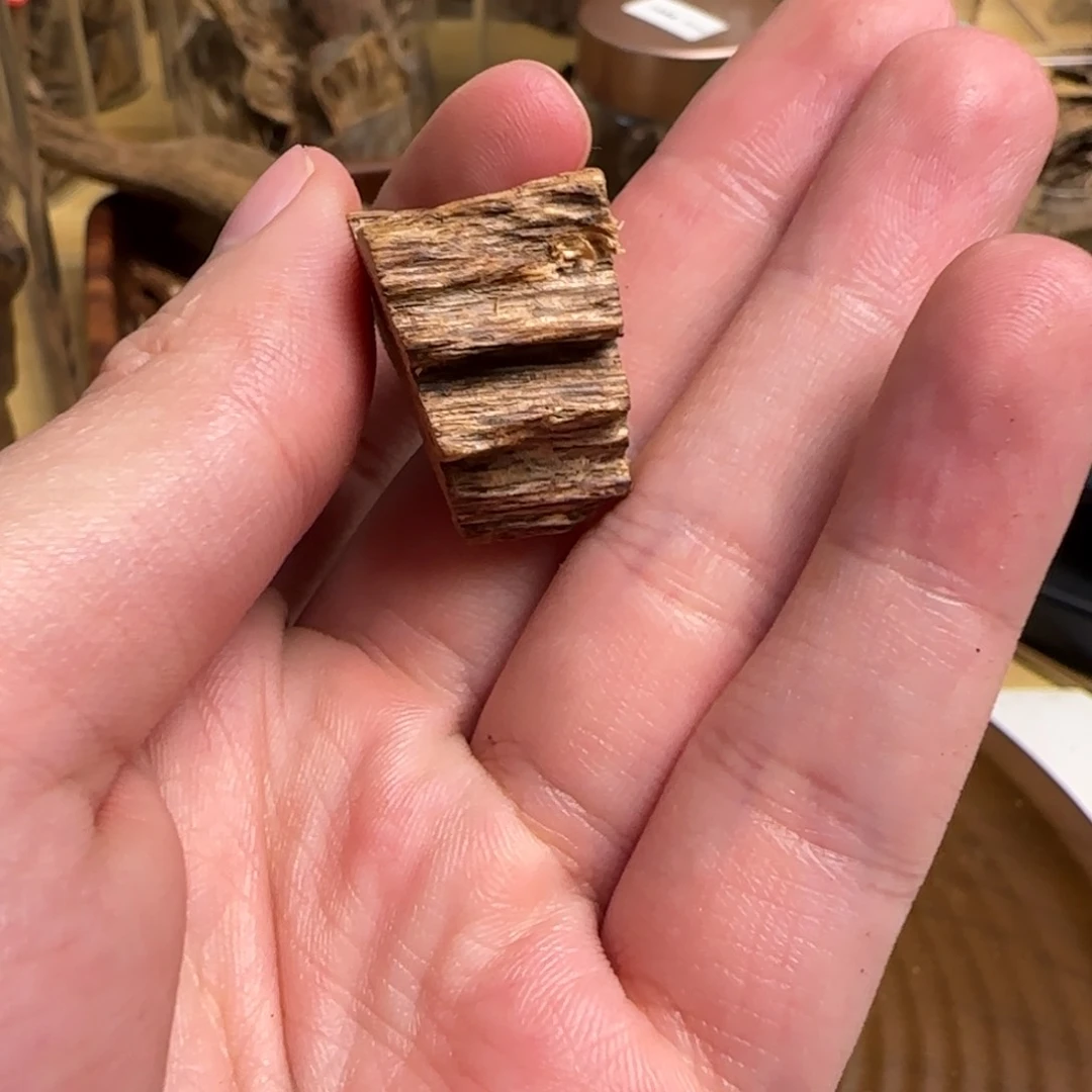 柬埔寨土沉沉香沉香2.9