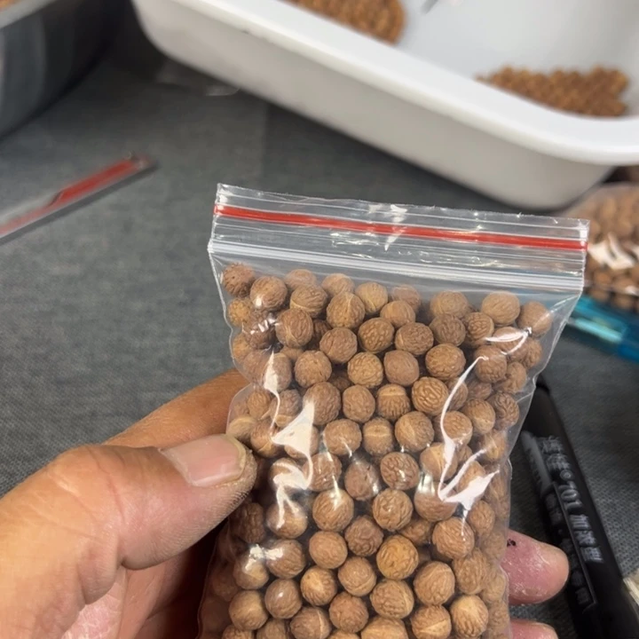 吊坠凤眼菩提文玩酸枣核