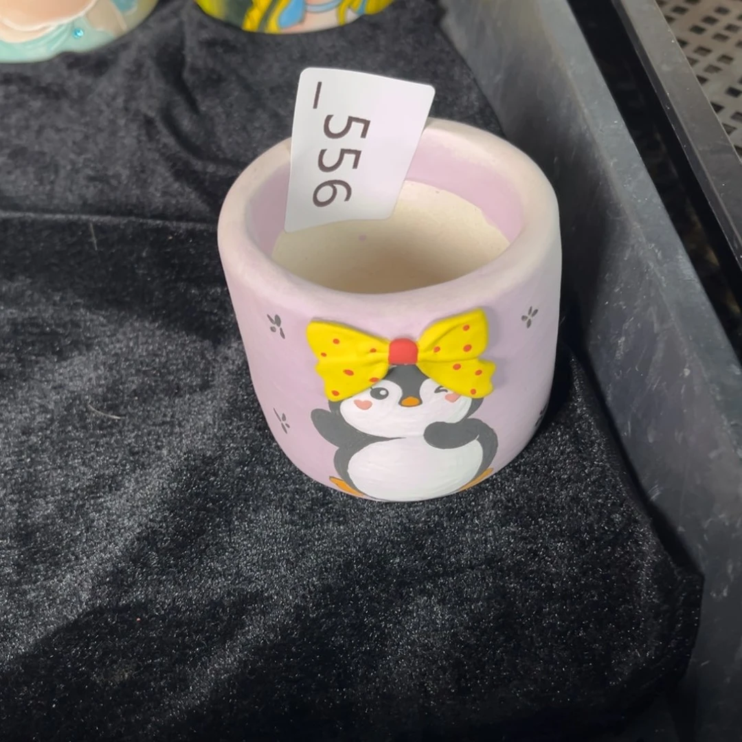 炸***多556多肉花盆20元1个