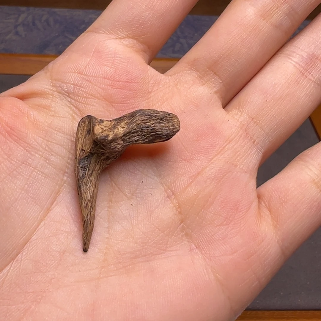 沉香碎屑沉香海南保亭沉水根部树心1.2克