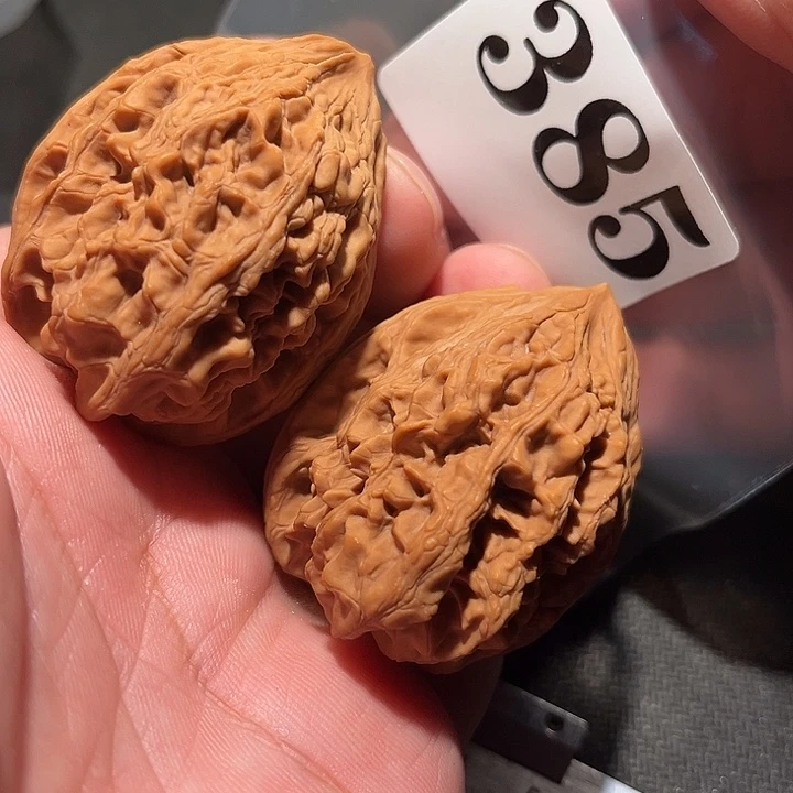 核桃11111111111111111