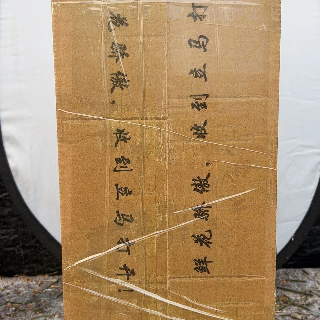 用***6无花朵迎春花河南虎蹄迎春