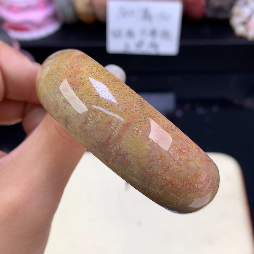 硅化珊瑚（珊瑚玉）未镶嵌吊坠(赠链)彩虫52.7圈（26号）