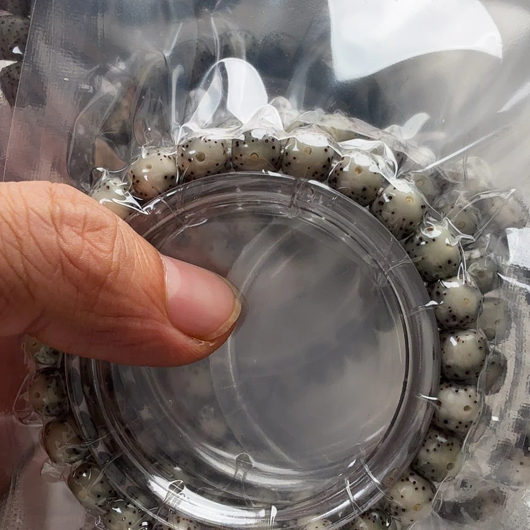 吊坠柏香籽/百香籽1