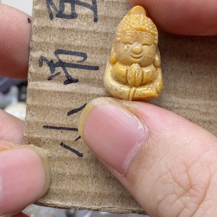 颈饰未镶嵌硅化珊瑚(珊瑚玉)灯**珊