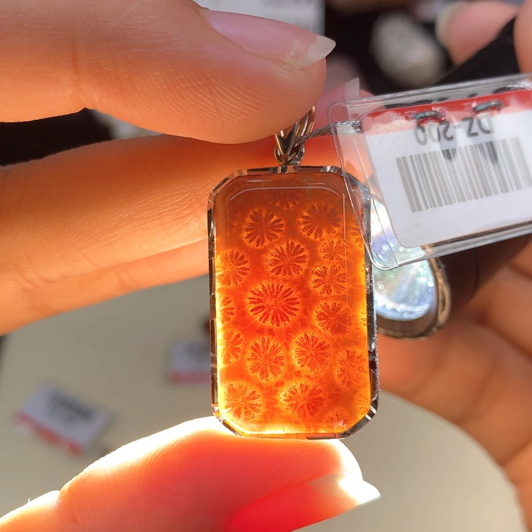 【闪购商品】颈饰银S925镶嵌硅化珊瑚（珊瑚玉）40号镶嵌吊坠