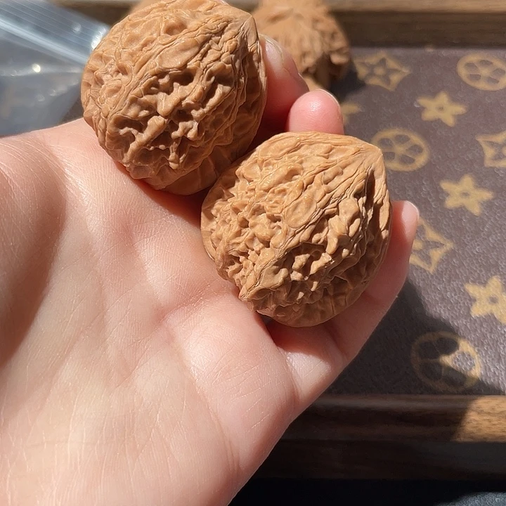 大叶紫檀（黑酸枝木类）血龙珠