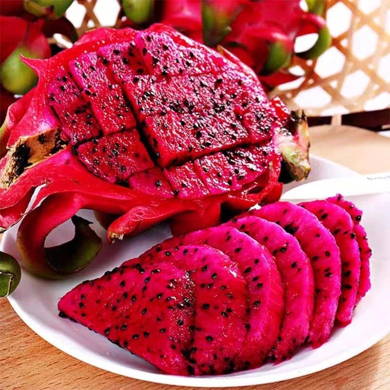 【带箱5斤】广西头茬金都一号红心火龙果净重4.5斤到手6-8个