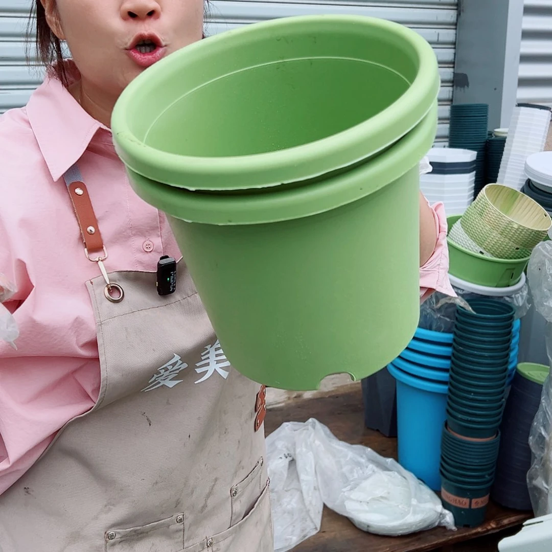四季盆4#果绿色8个无托