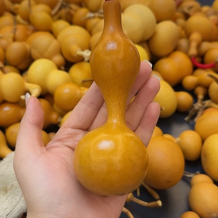 老皮蚂蚁异形大手把