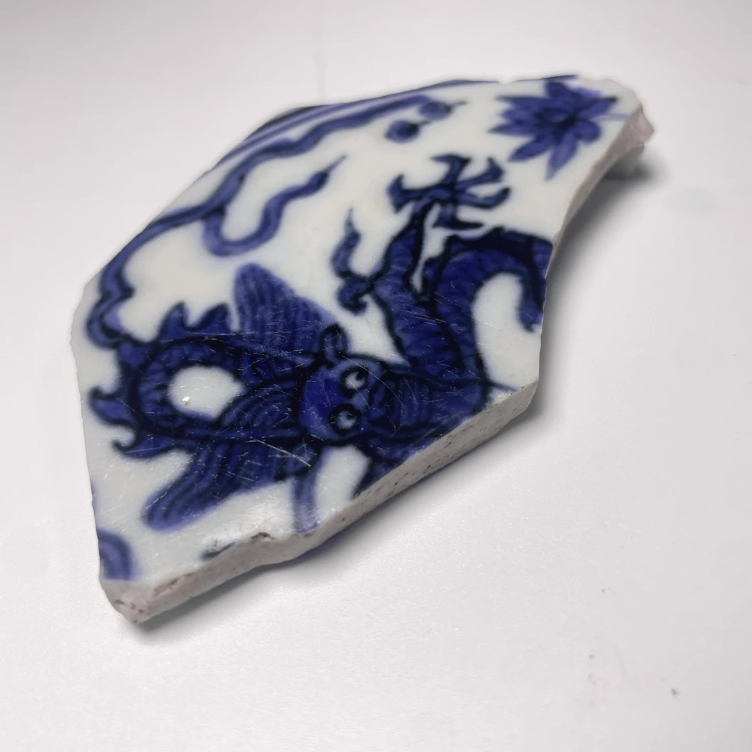 30141008 明代 青花五爪龙纹标本
